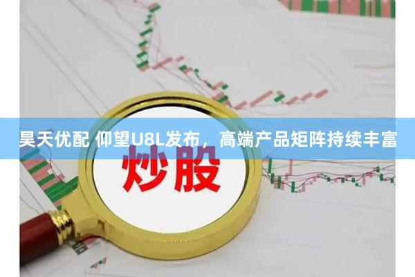 昊天优配 仰望U8L发布，高端产品矩阵持续丰富