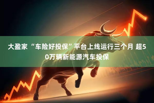 大盈家 “车险好投保”平台上线运行三个月 超50万辆新能源汽车投保