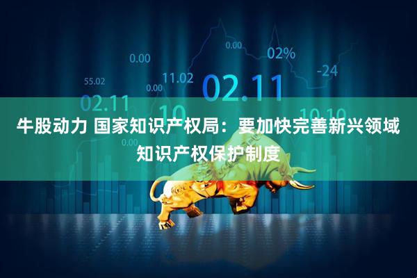 牛股动力 国家知识产权局：要加快完善新兴领域知识产权保护制度
