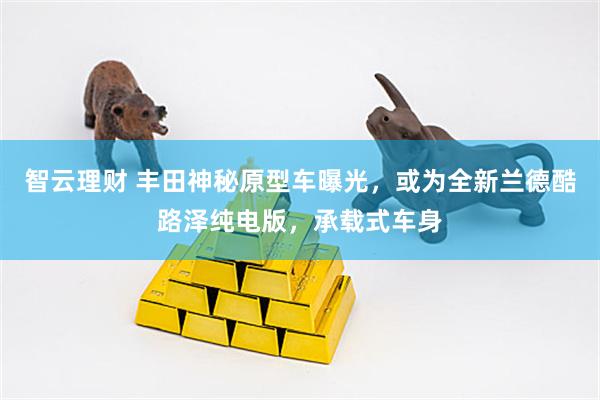 智云理财 丰田神秘原型车曝光，或为全新兰德酷路泽纯电版，承载式车身